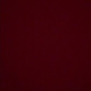 Meet your Posher, Daisy